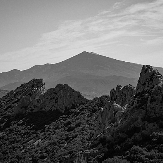 Dentelles de Montmirail