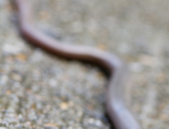 E7D_5977 MB