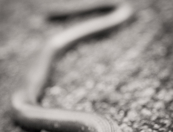 E7D_5982-1