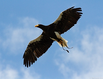 E7D_2152 SD 1000px