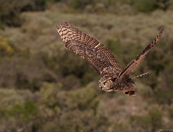 IMG_0403-MB-900-Zoo-Barben