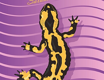 Salamandre_V2_1200px