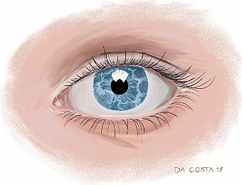 Oeil_bleu_1200px